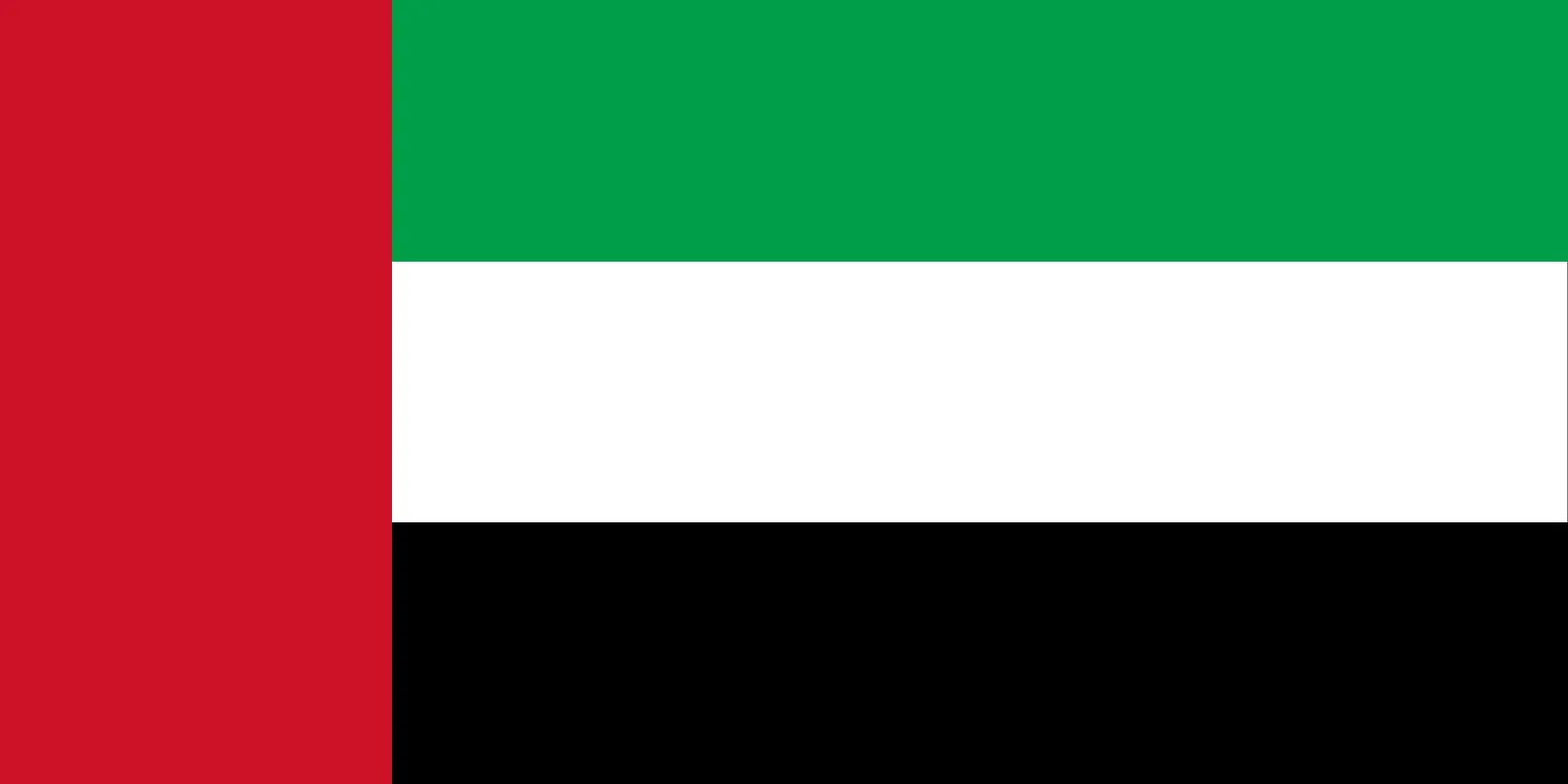 Dubai / UAE flag