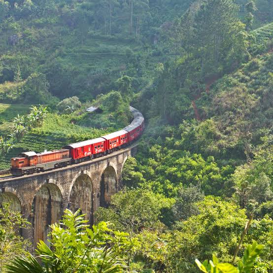 Sri Lanka Odyssey