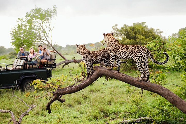 Yala National Park Safari from Galle or Mirissa